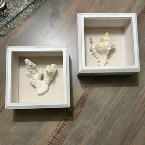 Coastal Seashell Shadowbox Wall Decor (set of 2)